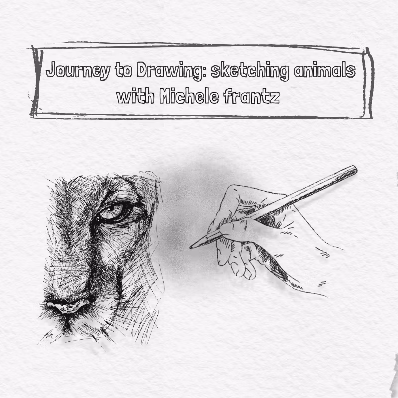 Journey to Drawing Sketching Animals (800 x 800 px)
